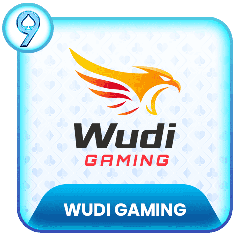 wudi-gaming-img